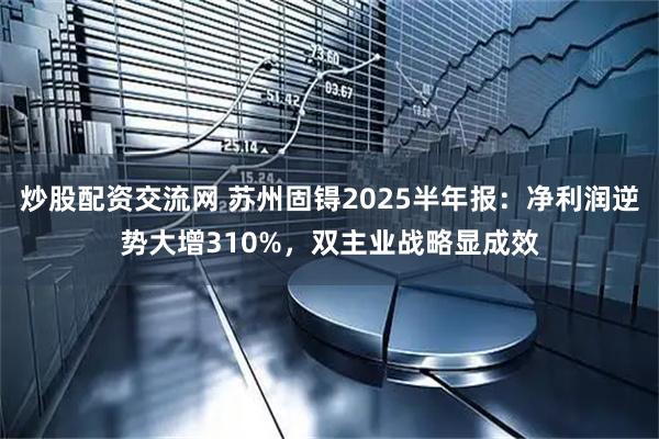 炒股配资交流网 苏州固锝2025半年报:净利润逆势大增310%,双主业战略显成效